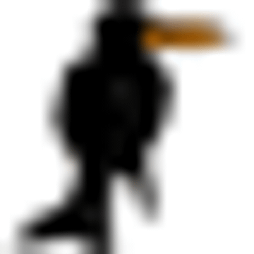 Corvus