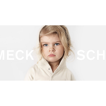 Schmeck Verbindungstechnik GmbH