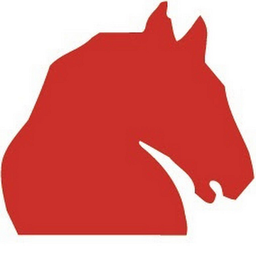 Haflinger | iesse-Schuh GmbH