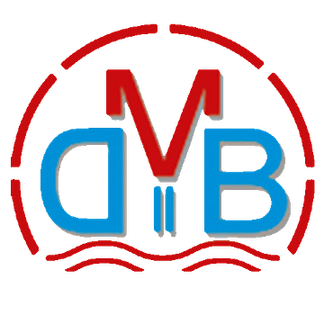 DMB Kanalsanierung GmbH