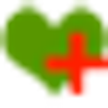 Pro Vital Pflege- und Gesundheitsdienste GmbH & Co. Pflegedienst AAK Clococeanu Ha