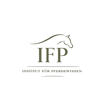 ifp – Institut für Personal- und Unternehmensberatung Will & Partner GmbH & Co. KG