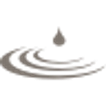 Consulting company