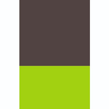 Smarterion