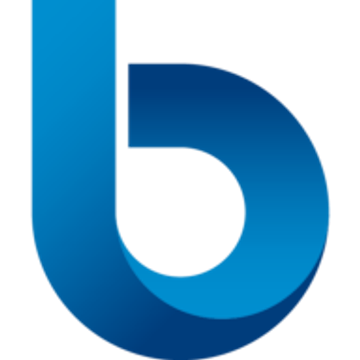 Buedingen Holding