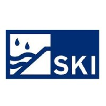 Ski Ing