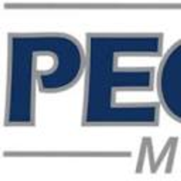 Pegasus Security UG