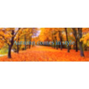 Autumn Search Limited