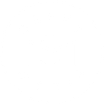 SAVVY MEDIA