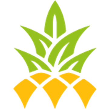 PINEAPPLE RECRUITMENT LTD