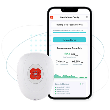 Poppy Lane Placements Ltd