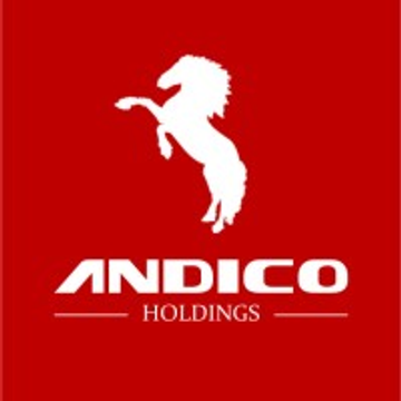 Next Level Sports Group