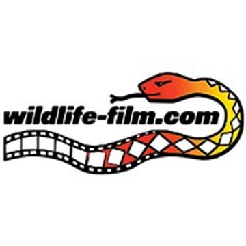 Wildlife Film Network Group