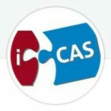 ICAS - The Professional Body of CAs