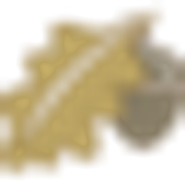 Donnington Manor Hotel