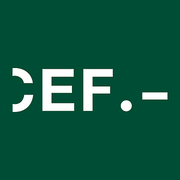 CEF - City Electrical Factors