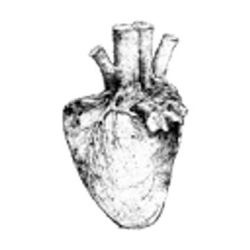 The Hart
