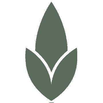 Seed Recruitment Consultants Ltd