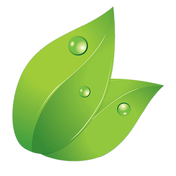 Applied Nutrition plc