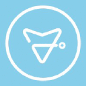 company-logo