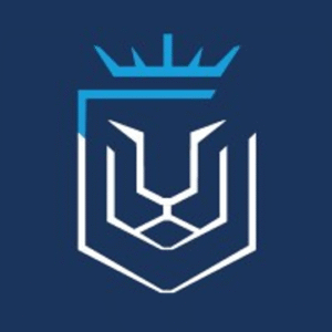 company-logo