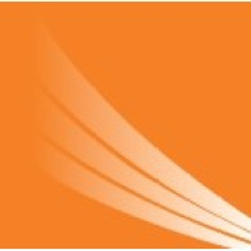 LEAN EXECUTIVES LIMITED