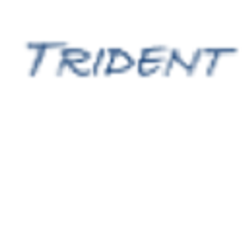 Trident Engineering