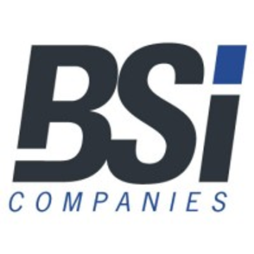 BSI Companies
