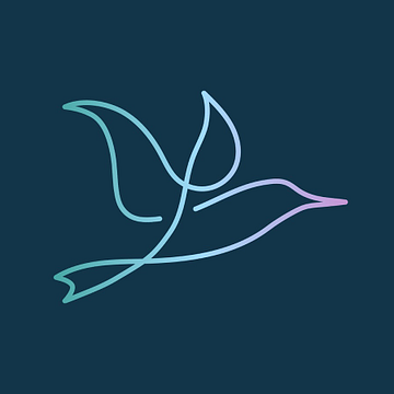 Wildanet Ltd