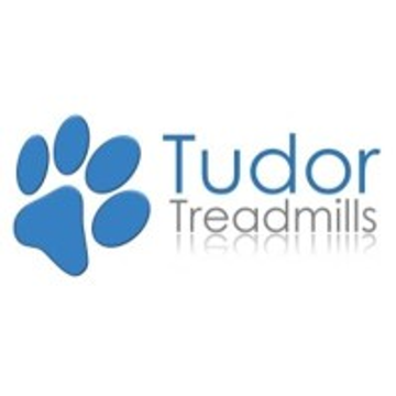Tudor Treadmills Limited