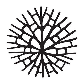 Urban Jungle Insurance