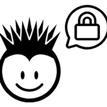 Punk Security Ltd.