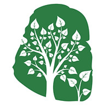 Forest Academy