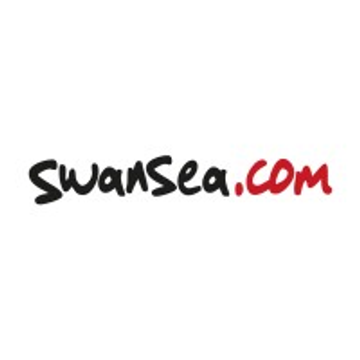 Swansea Council