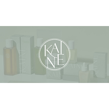 KAINE MANAGEMENT LTD