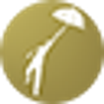 Electric Umbrella