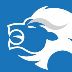 company-logo