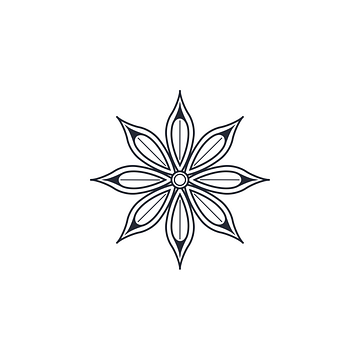 Star Anise Limited