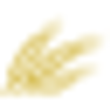 Bridor France