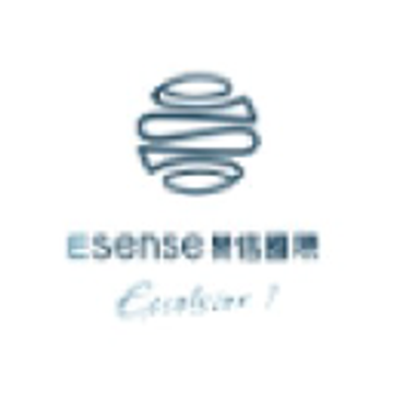 eSense Translations