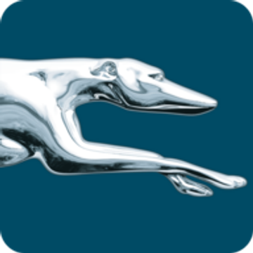 Greyhound
