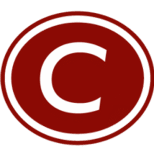 company-logo