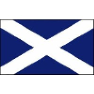 Scottish Council for Voluntary Organisations