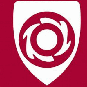 company-logo