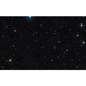 Apex Focus Group Inc.