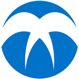 company-logo