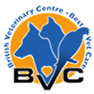 BRITVET SERVICES LTD