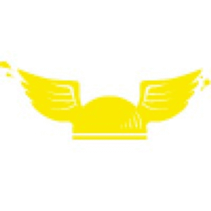 company-logo