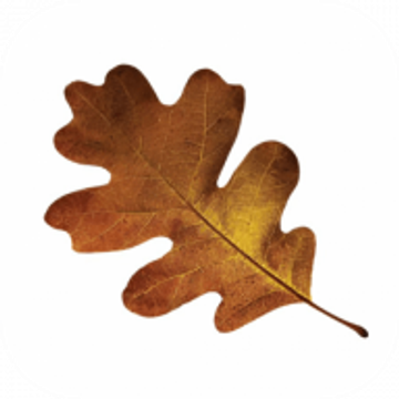 North Oak Recruitment