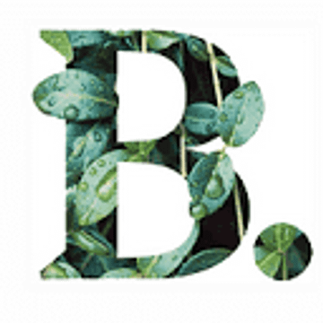 Boutinot Wines